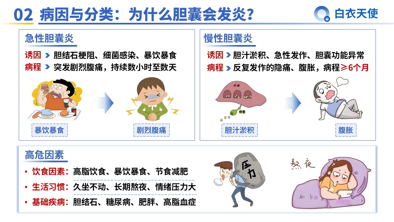 35-胆囊炎健康宣教第4页预览