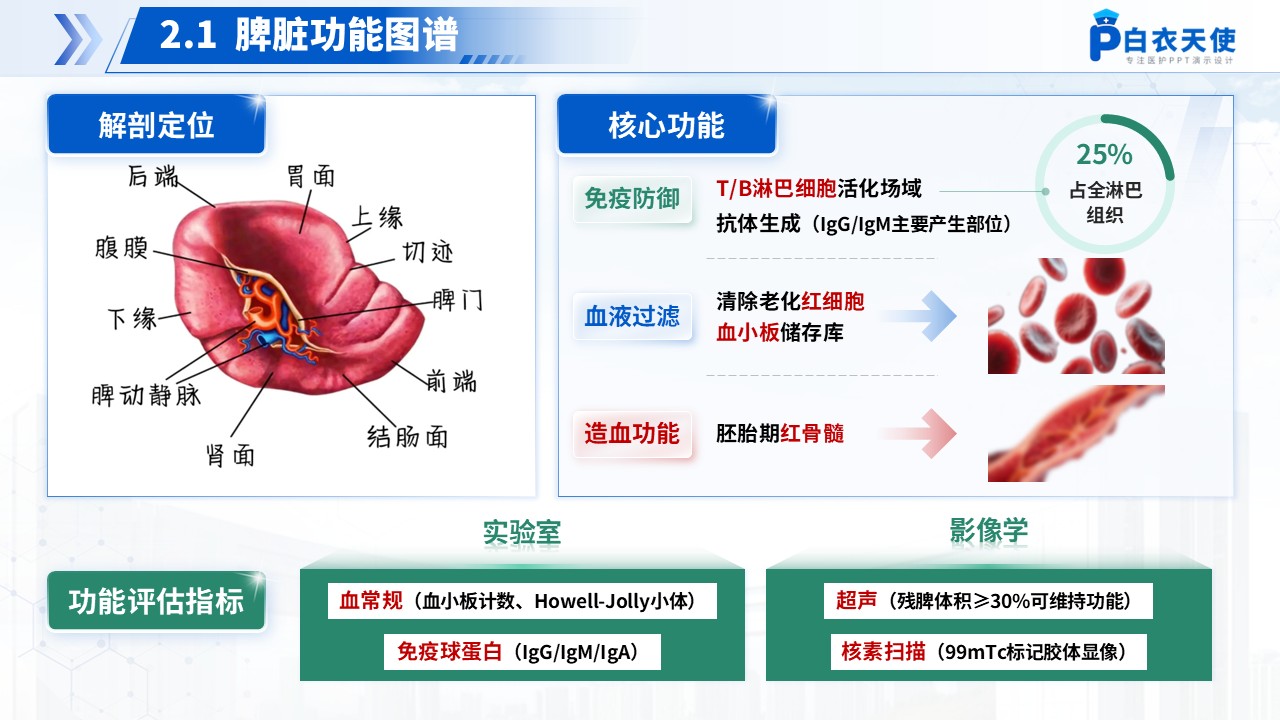 166期-护理个案-半脾切除术第6页预览