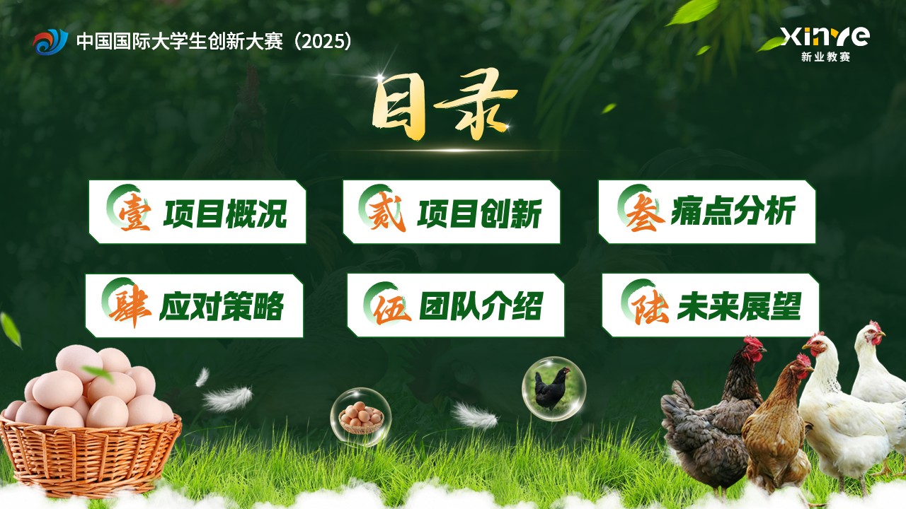 《链上略阳，“鸡遇未来》大创赛第2页预览图