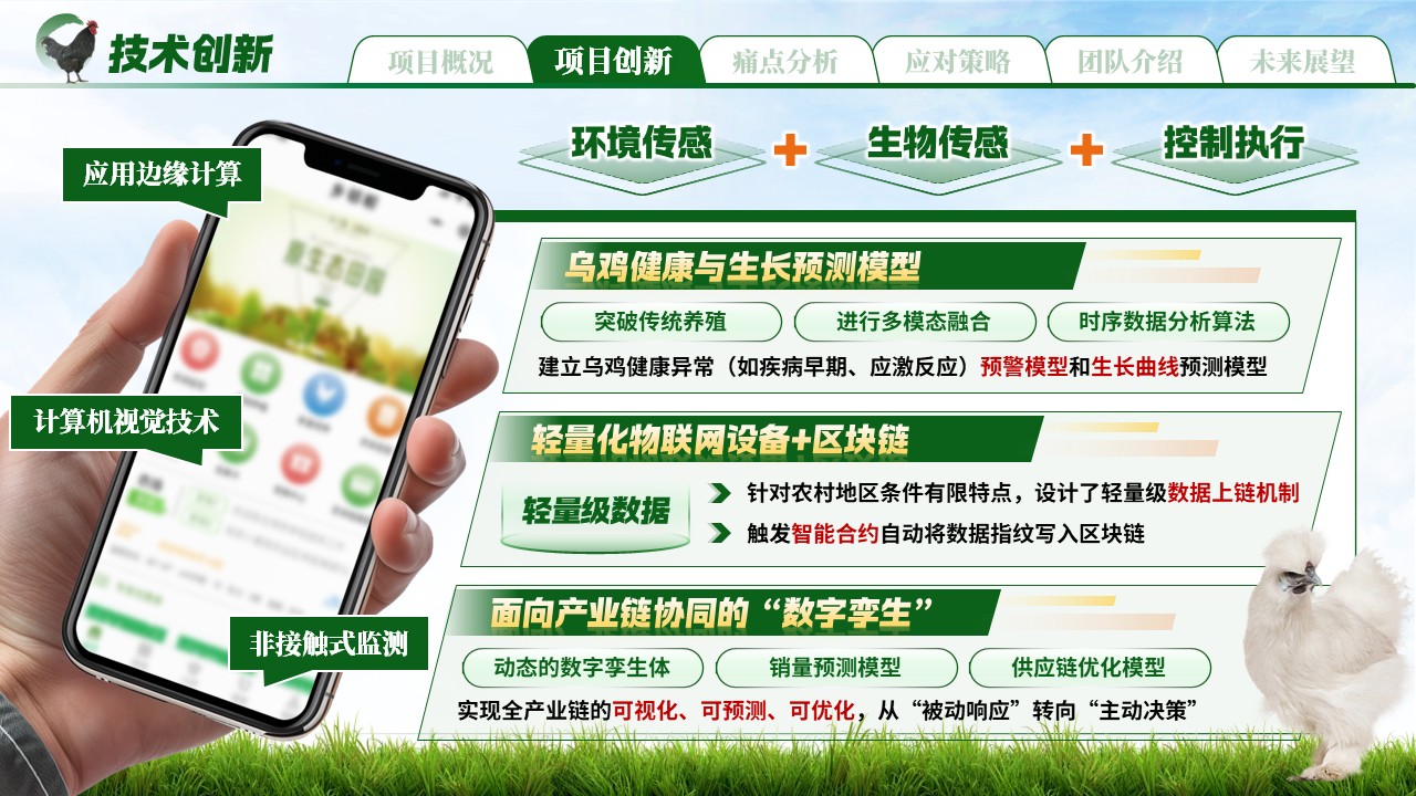 《链上略阳，“鸡遇未来》大创赛第5页预览图
