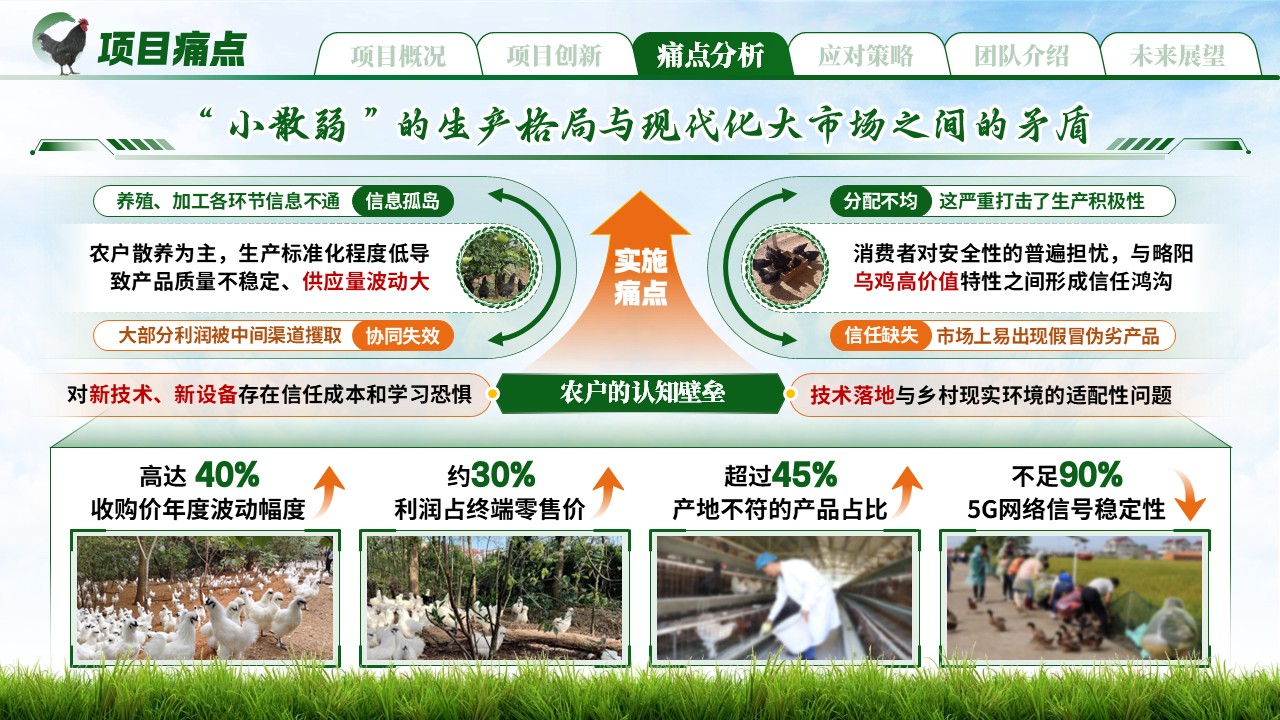 《链上略阳，“鸡遇未来》大创赛第8页预览图