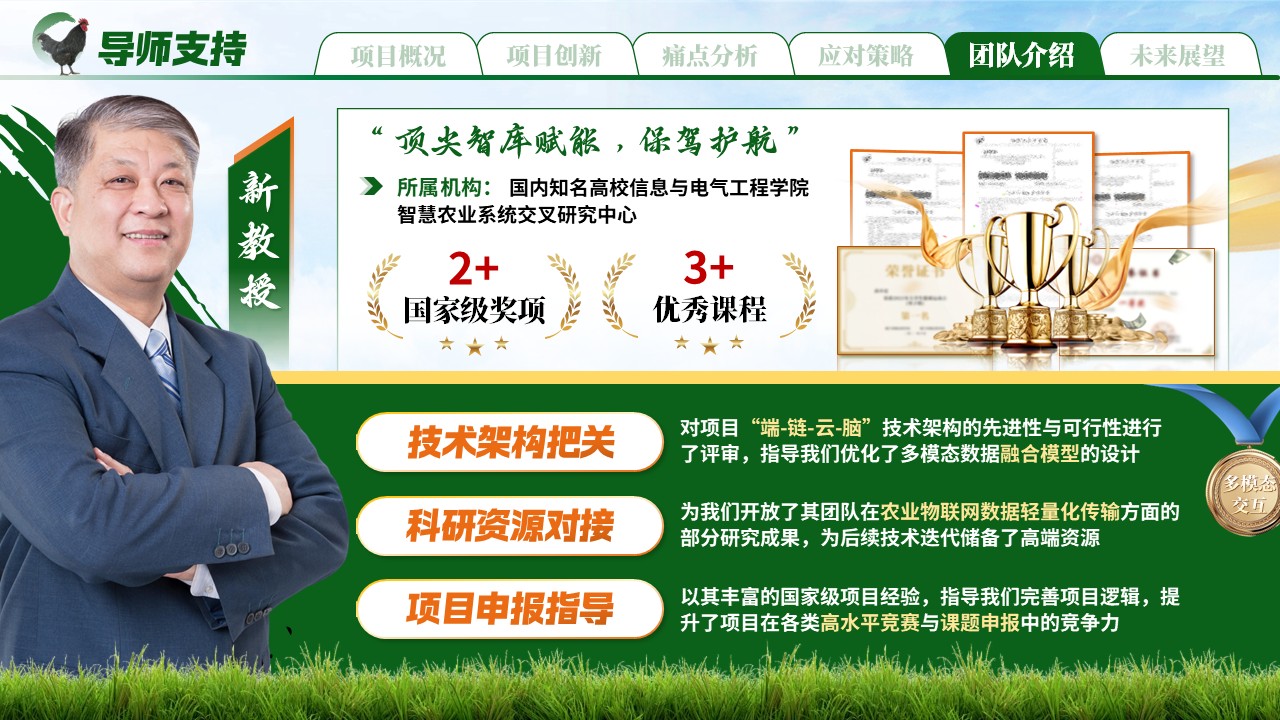 《链上略阳，“鸡遇未来》大创赛第10页预览图