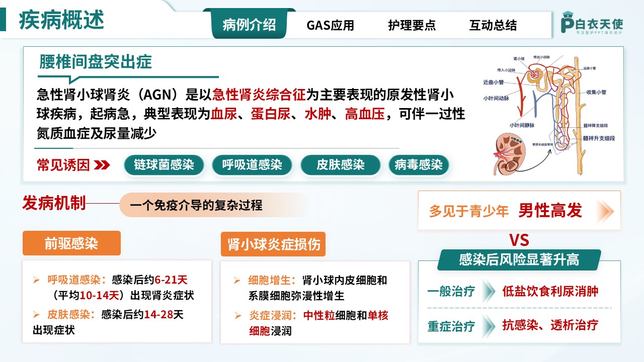 310期-护理教学查房-基于GAS模式下的一例急性肾小球肾炎患者的护理查房第3页预览