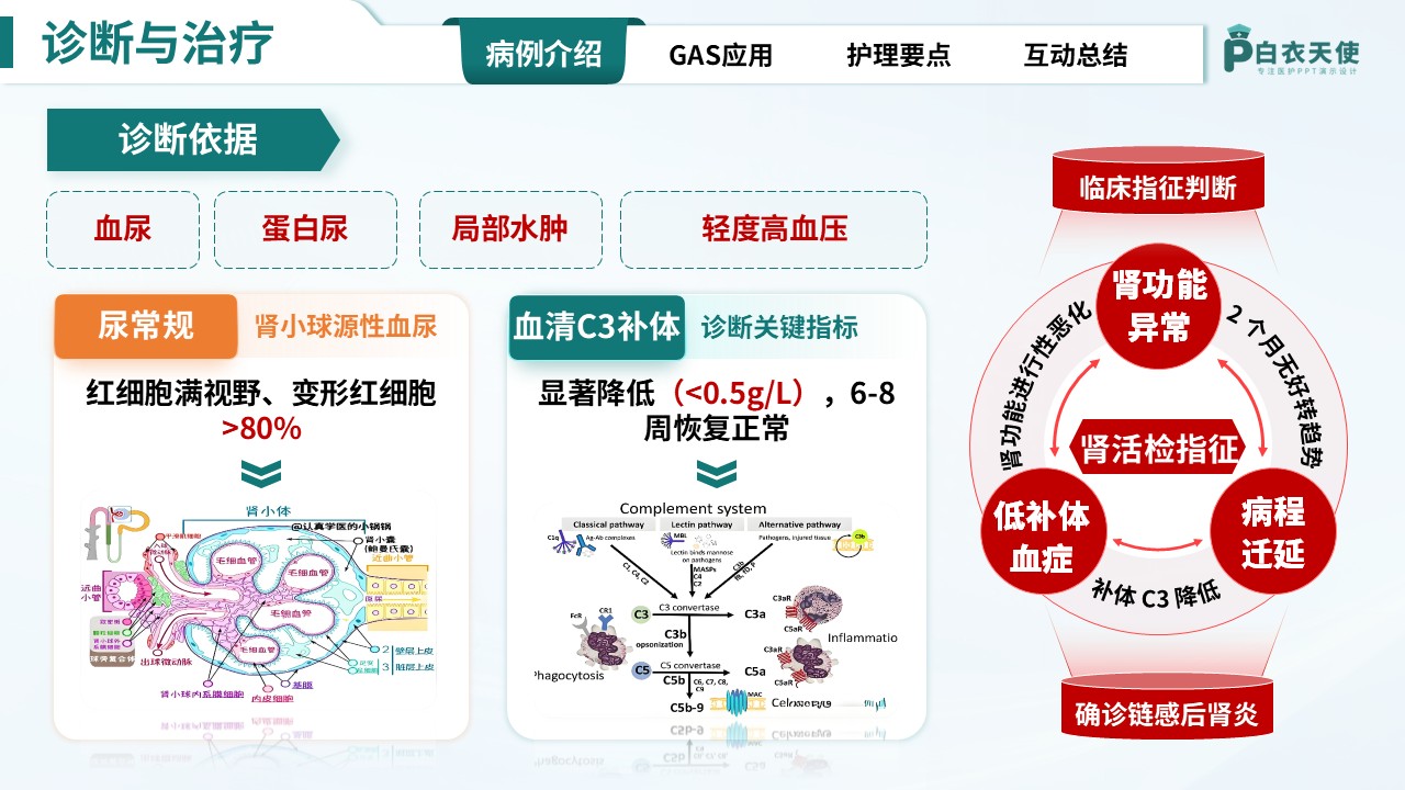 310期-护理教学查房-基于GAS模式下的一例急性肾小球肾炎患者的护理查房第5页预览
