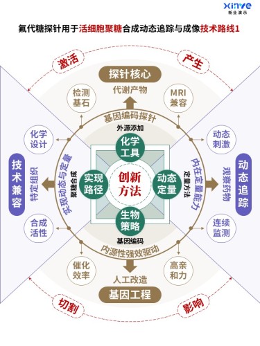 58-2科研架构图 (活细胞聚糖-棕绿紫)