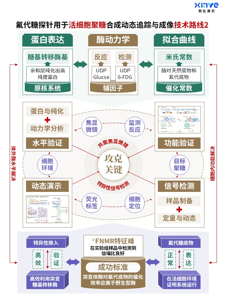 58-2科研架构图 (活细胞聚糖-棕绿紫)第2页预览图