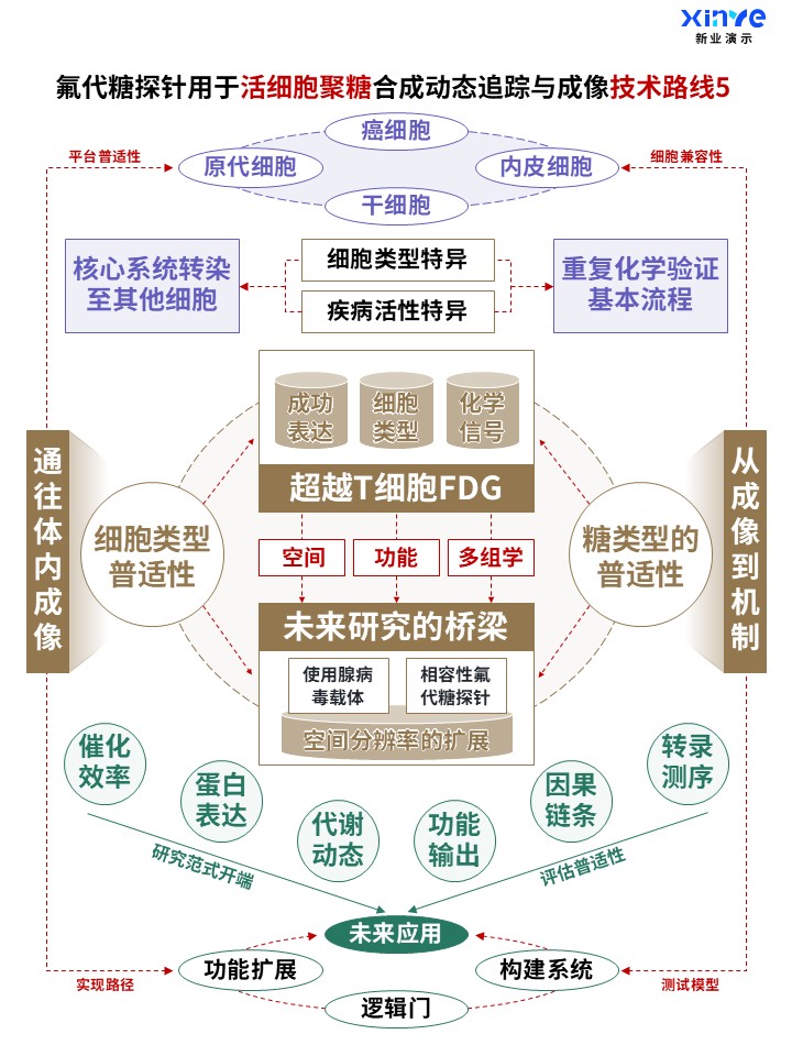 58-2科研架构图 (活细胞聚糖-棕绿紫)第5页预览图