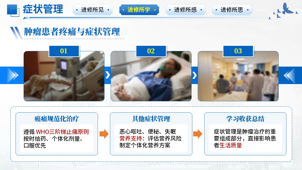 486期-进修汇报-肿瘤科进修汇报第9页预览