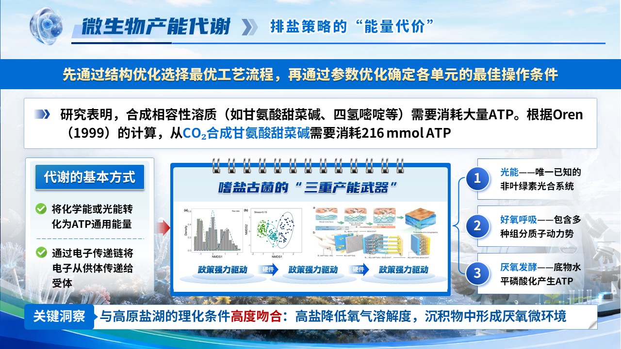 《极端生物学》青教赛第5页预览图