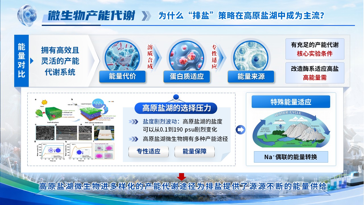 《极端生物学》青教赛第6页预览图