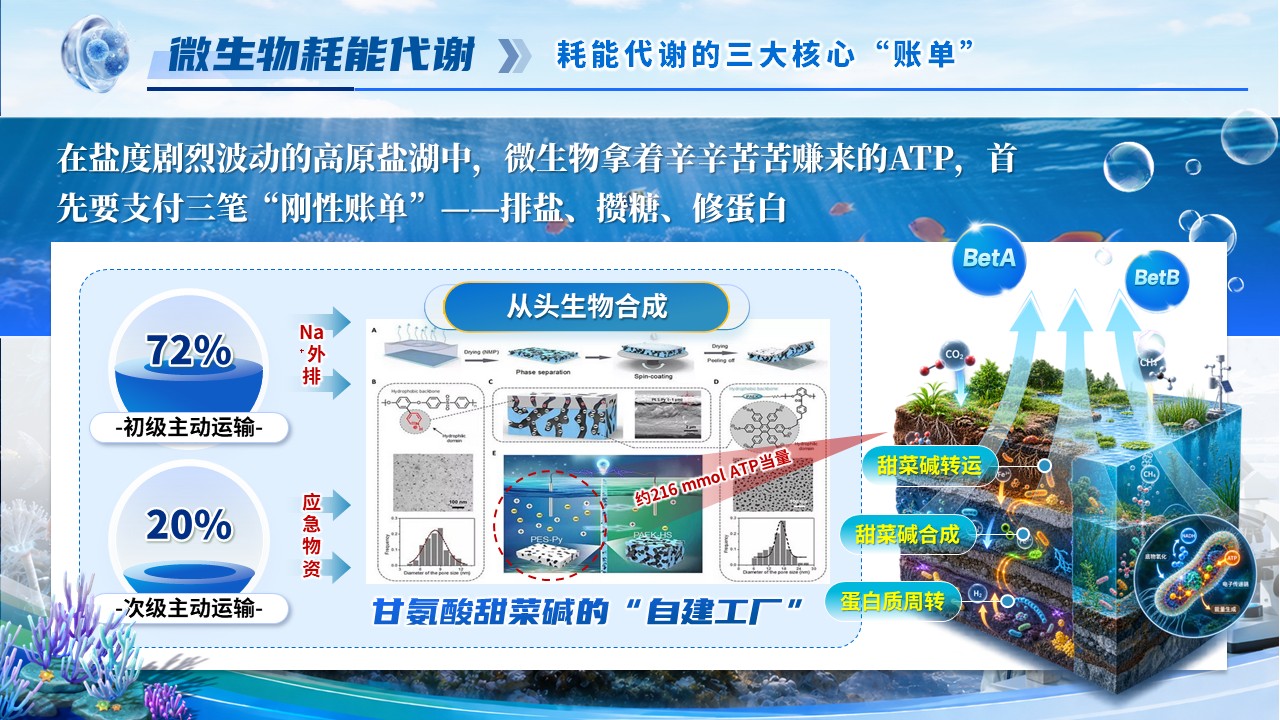 《极端生物学》青教赛第7页预览图