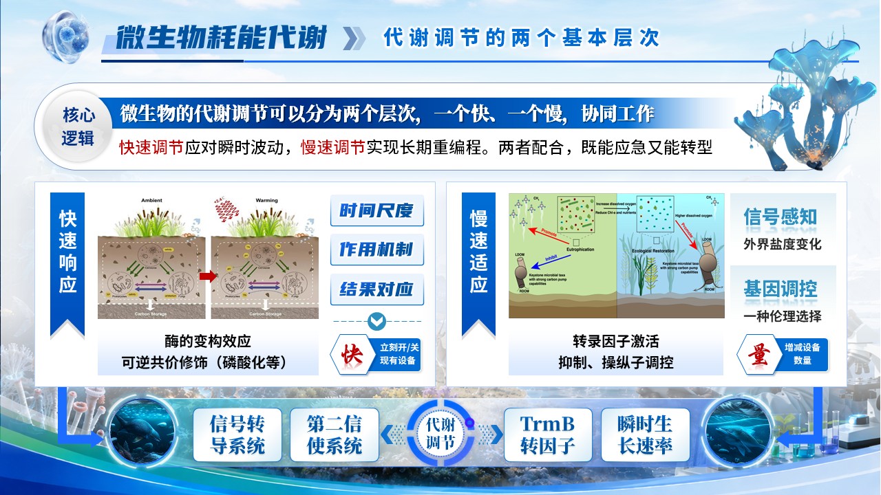 《极端生物学》青教赛第8页预览图