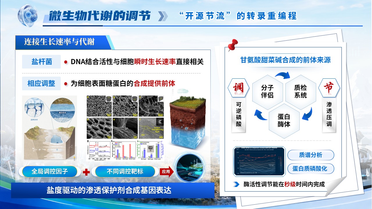《极端生物学》青教赛第9页预览图