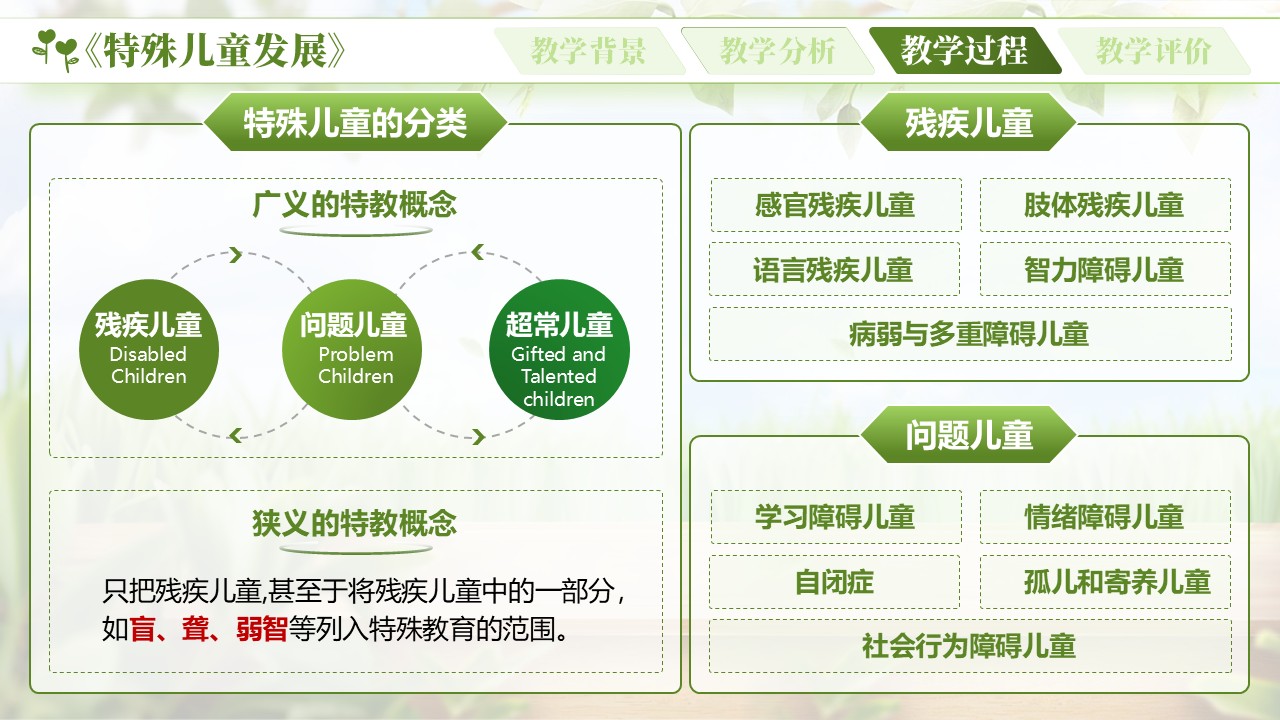 《特殊儿童教育》第8页预览图