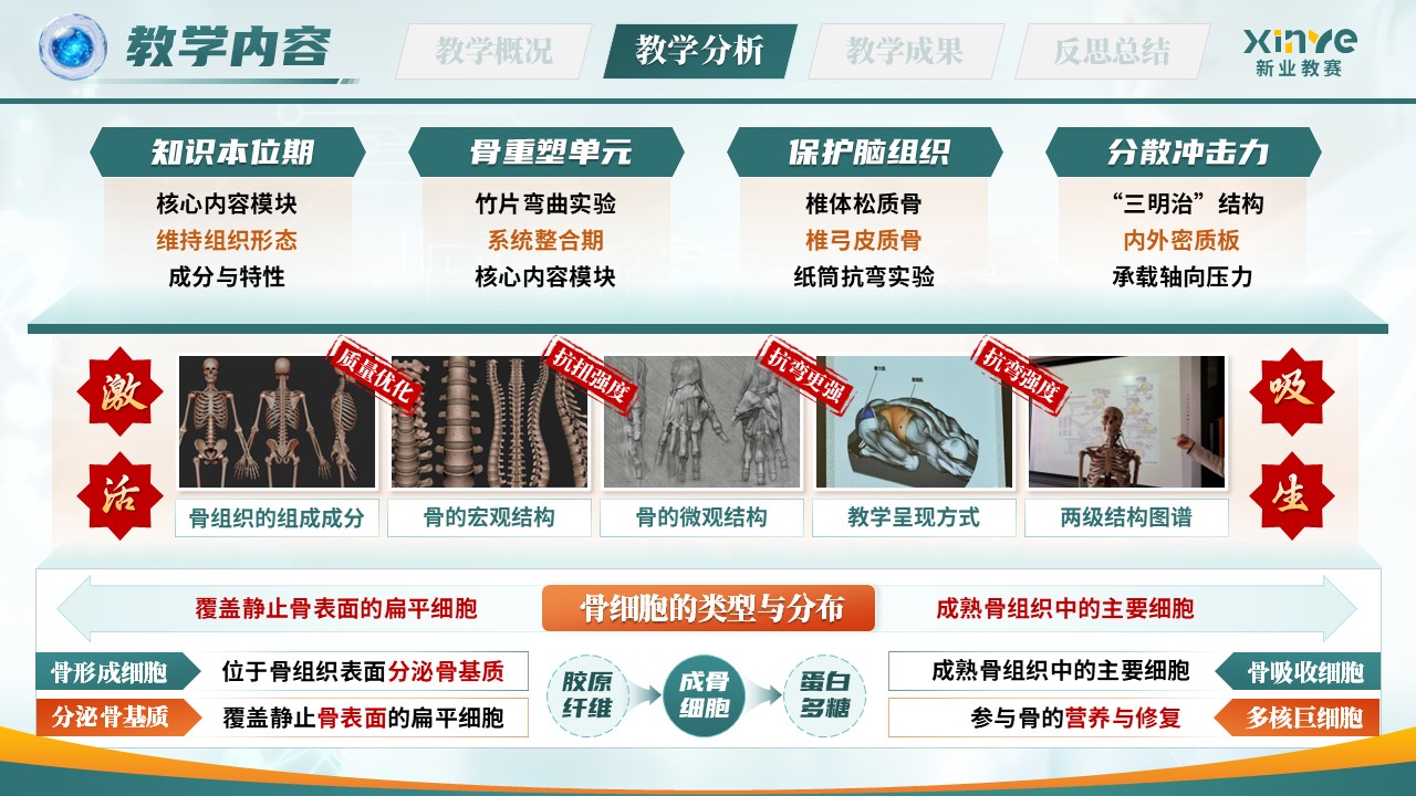 《筑骨立形，擎天架海》青年教师基本功大赛第8页预览图