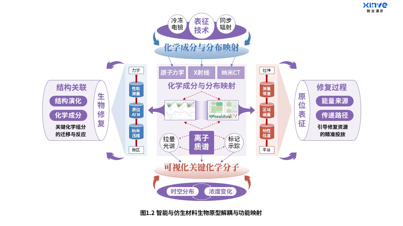 25-2科研架构图（智能与仿生材料-紫蓝红）第2页预览图