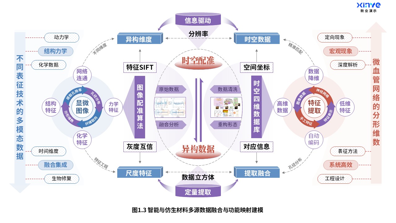 25-2科研架构图（智能与仿生材料-紫蓝红）第3页预览图