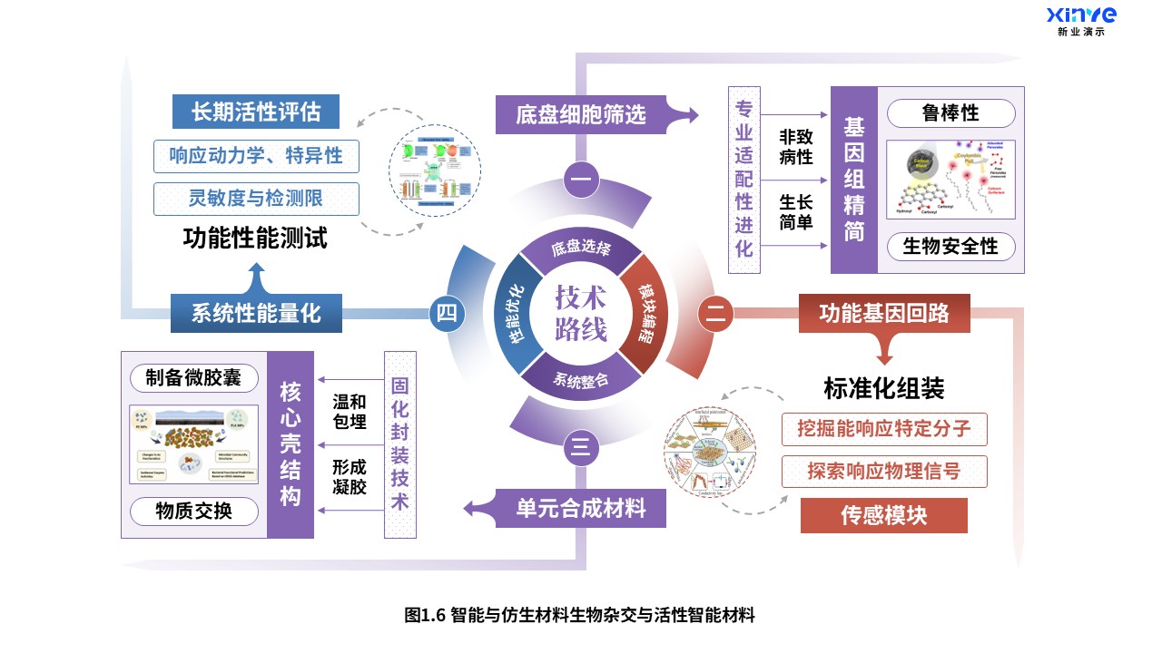 25-2科研架构图（智能与仿生材料-紫蓝红）第6页预览图
