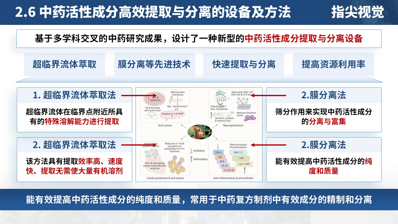 057期-主任药师正高职称申请汇报（蓝色）第9页预览