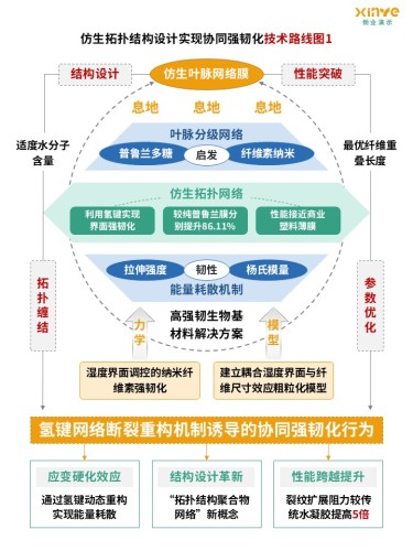 43-2技术路线图(纳米纤维素-黄蓝绿)