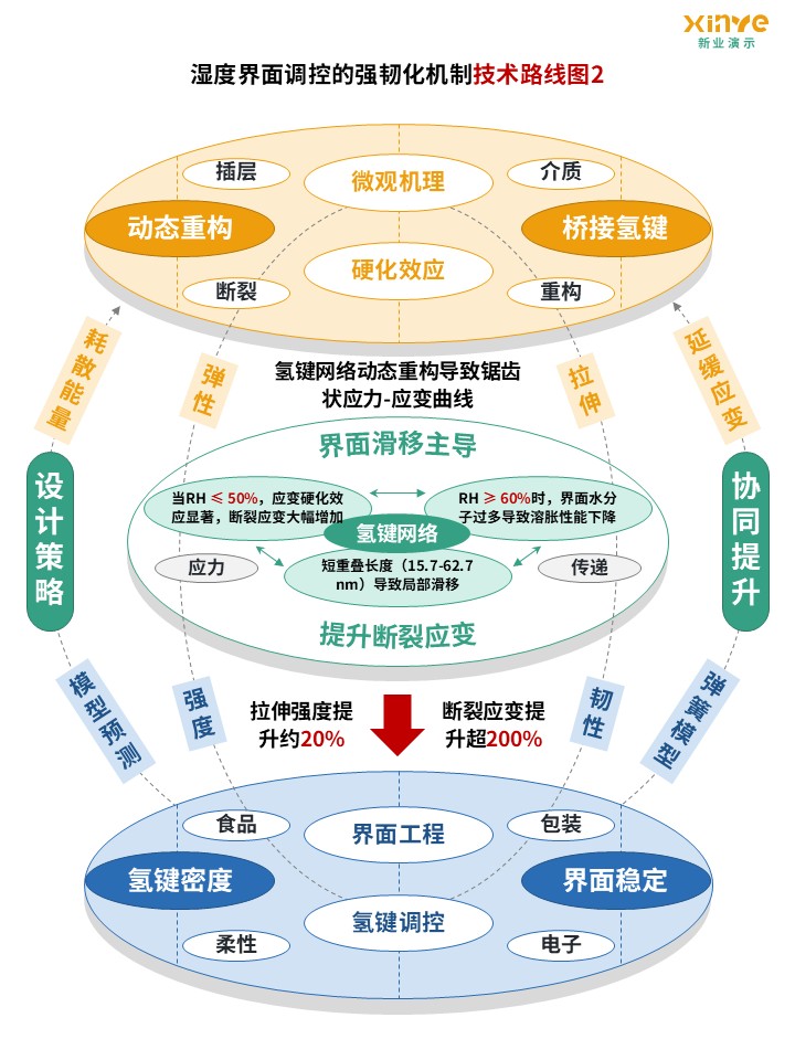43-2技术路线图(纳米纤维素-黄蓝绿）第2页预览图