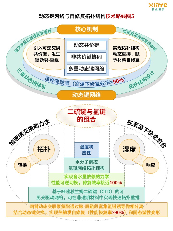 43-2技术路线图(纳米纤维素-黄蓝绿）第5页预览图