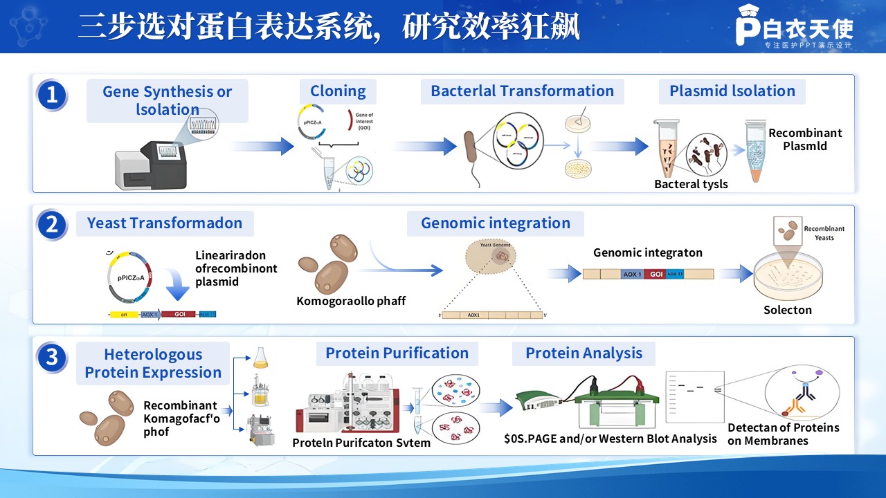 209期-医学技术路线图第2页预览