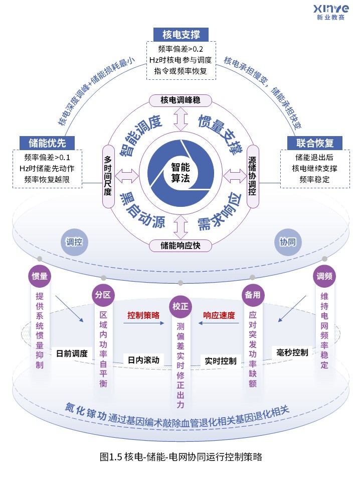 77-2科研架构图(核电能源优化-蓝紫）第5页预览图
