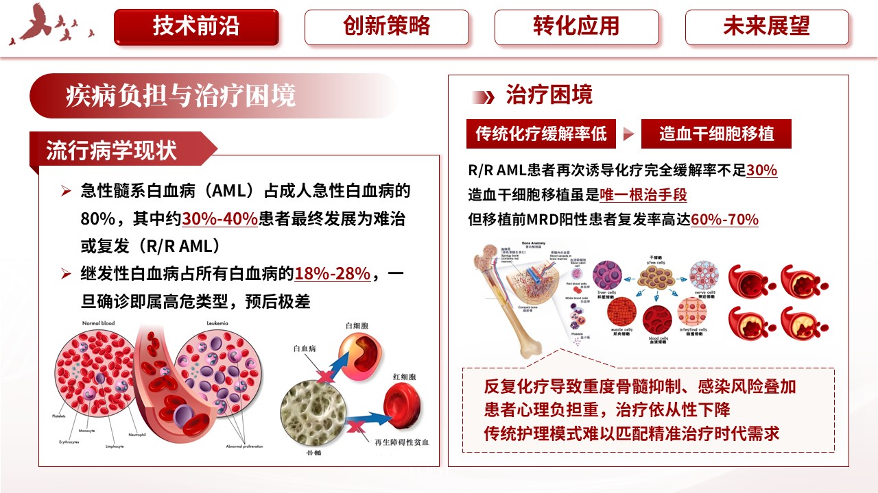 346期-护理创新成果-难治复发急性白血病根治技术的临床转化突破第3页预览