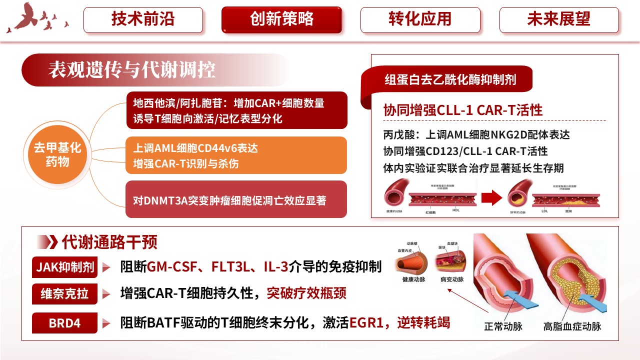 346期-护理创新成果-难治复发急性白血病根治技术的临床转化突破第9页预览