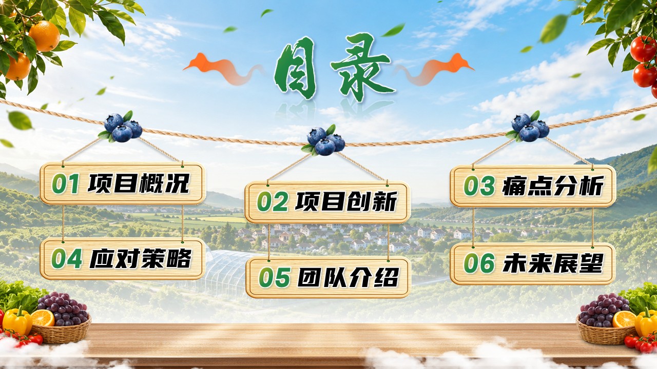 《智选先锋，果蔬慧眼》大创赛第2页预览图