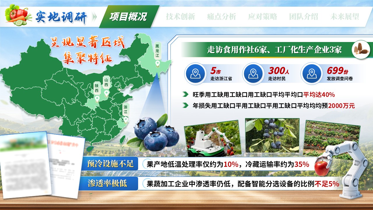 《智选先锋，果蔬慧眼》大创赛第5页预览图