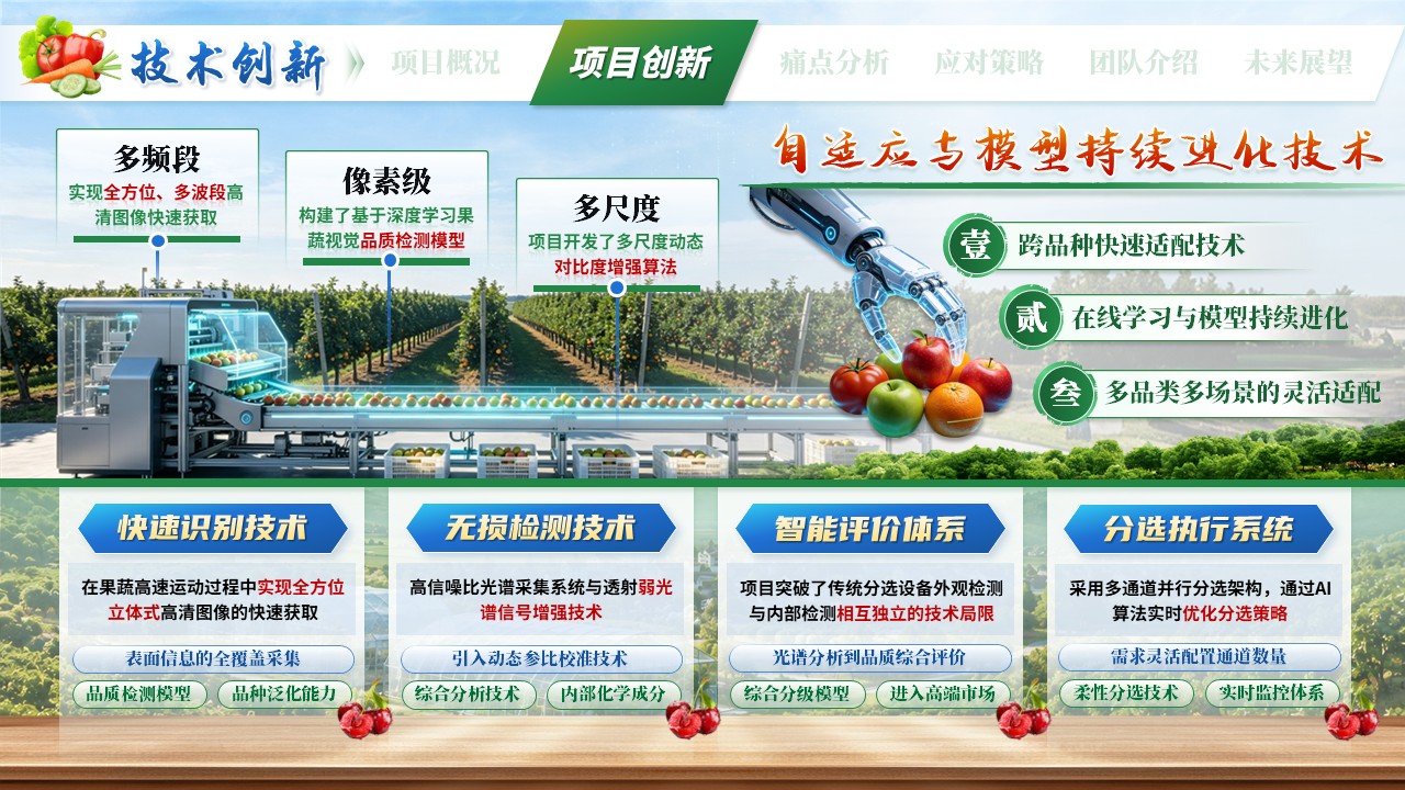 《智选先锋，果蔬慧眼》大创赛第6页预览图