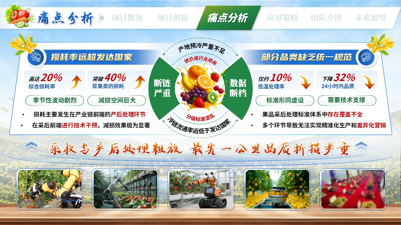 《智选先锋，果蔬慧眼》大创赛第8页预览图