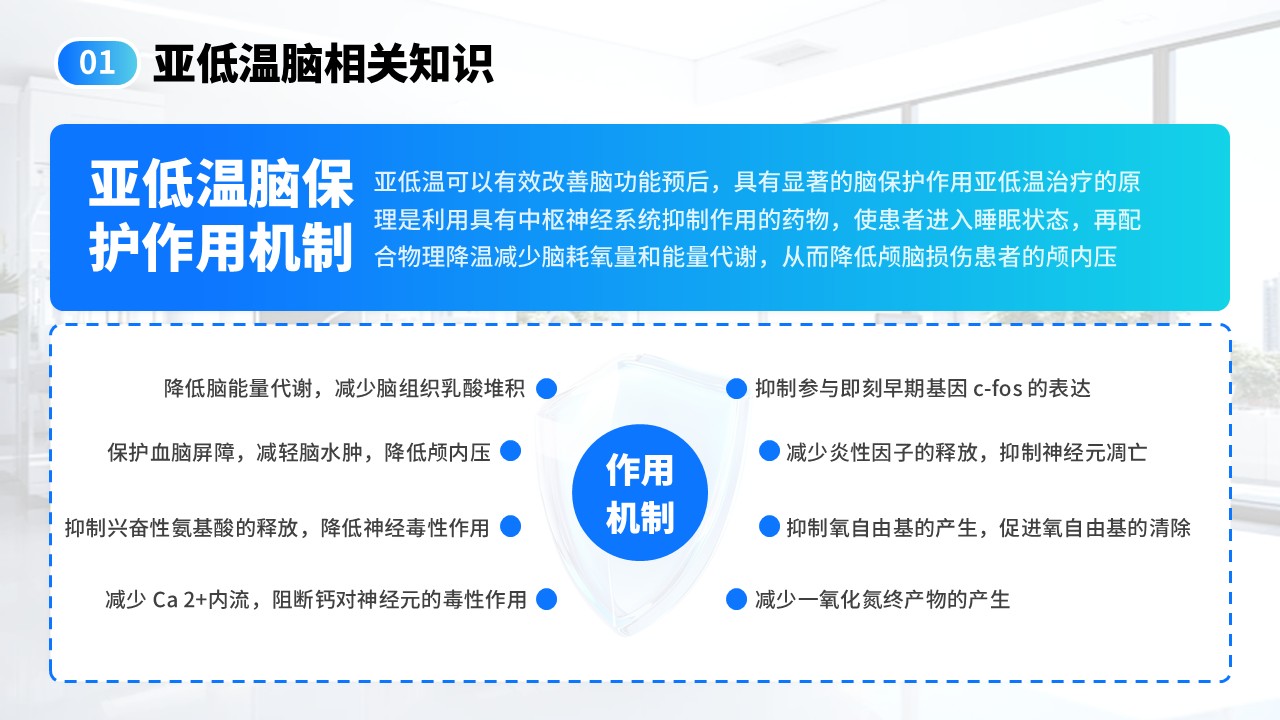 18-亚低温脑知识分享第5页预览