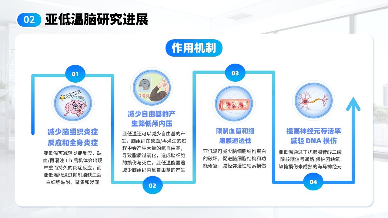 18-亚低温脑知识分享第16页预览