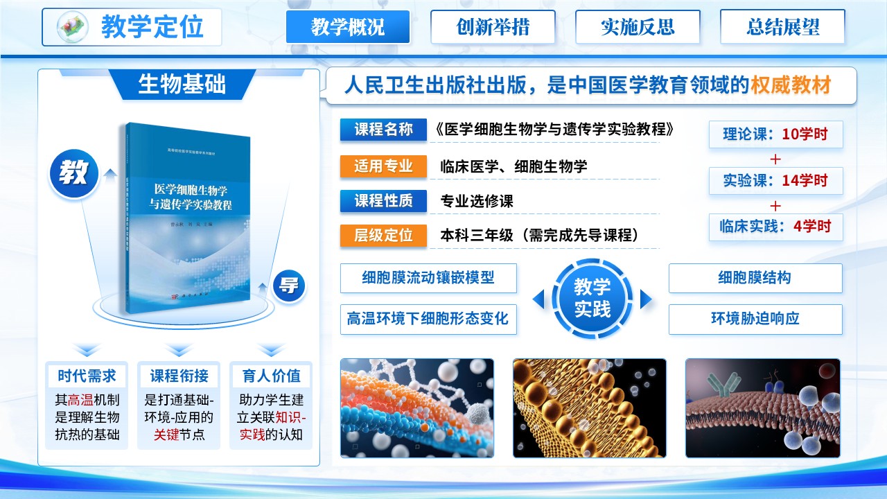 《高温下的细胞膜》青教赛第3页预览图
