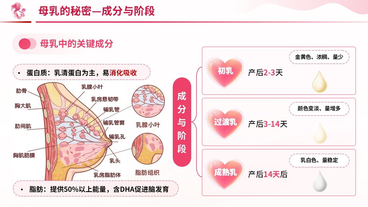 100期-科普宣教-新手妈妈母乳喂养实用指南第4页预览