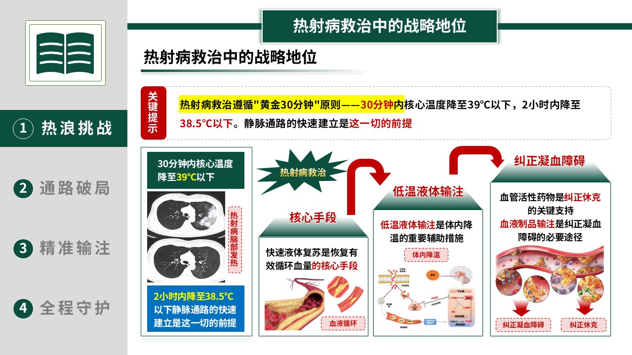 369期-护理创新成果-热射病患者的精准循环复苏与静脉治疗第4页预览