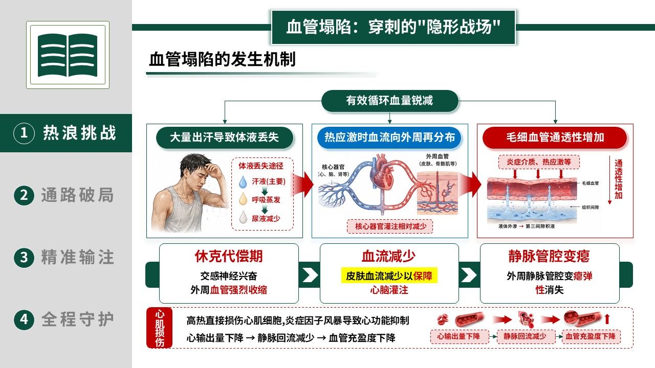 369期-护理创新成果-热射病患者的精准循环复苏与静脉治疗第5页预览