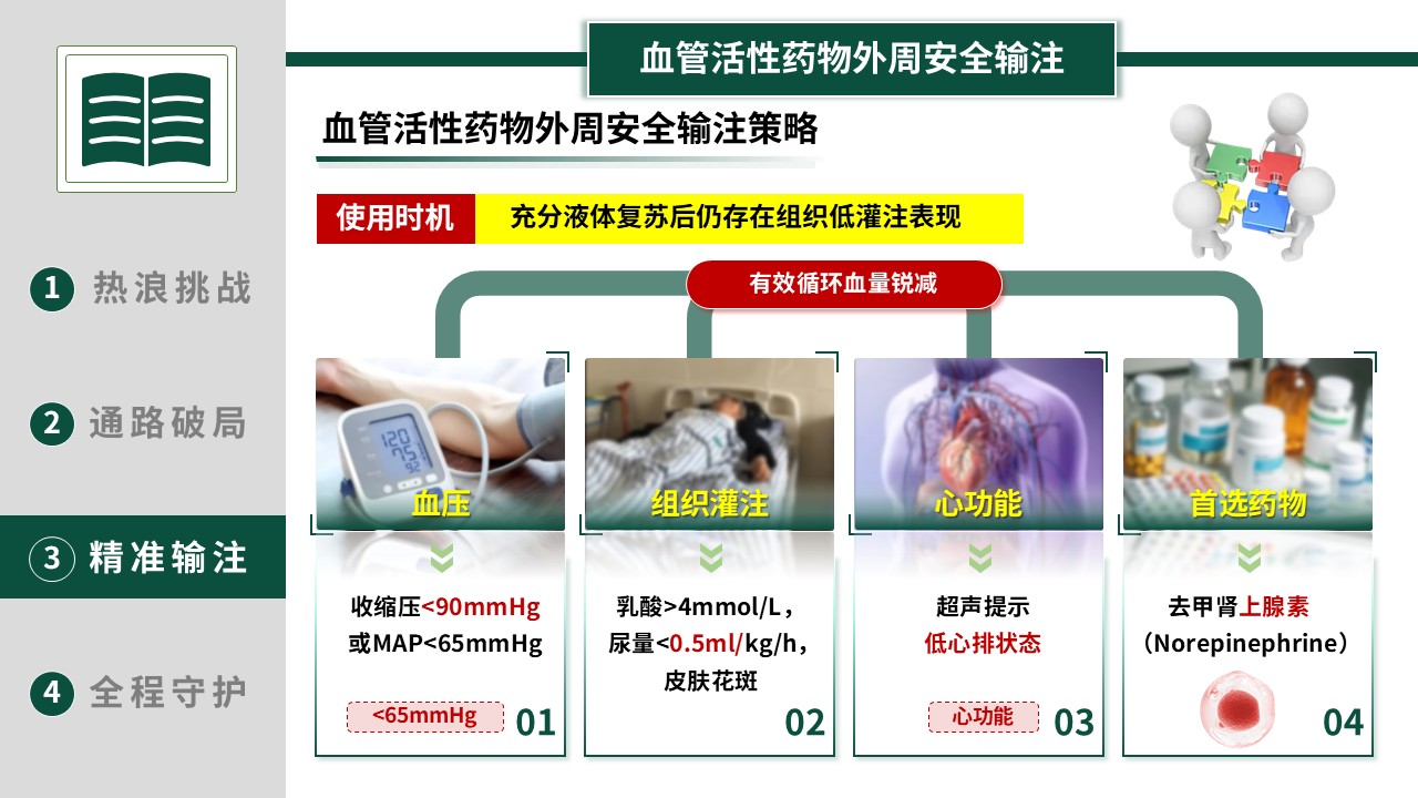 369期-护理创新成果-热射病患者的精准循环复苏与静脉治疗第13页预览