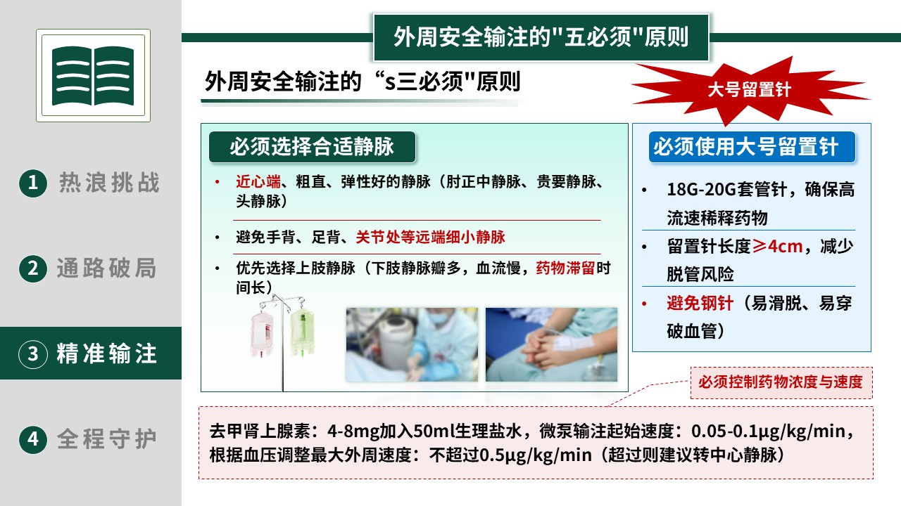 369期-护理创新成果-热射病患者的精准循环复苏与静脉治疗第14页预览