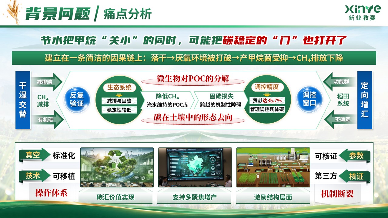 《稻碳归仓》中国研究生“双碳”创新与创意大赛第4页预览图
