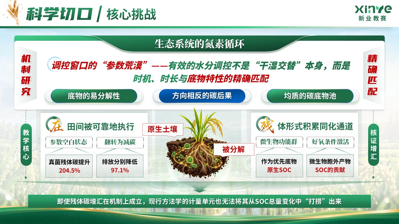 《稻碳归仓》中国研究生“双碳”创新与创意大赛第5页预览图