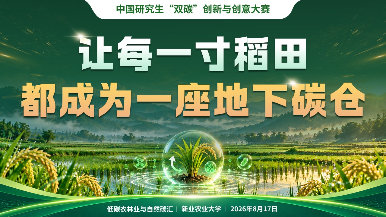 《稻碳归仓》中国研究生“双碳”创新与创意大赛第12页预览图