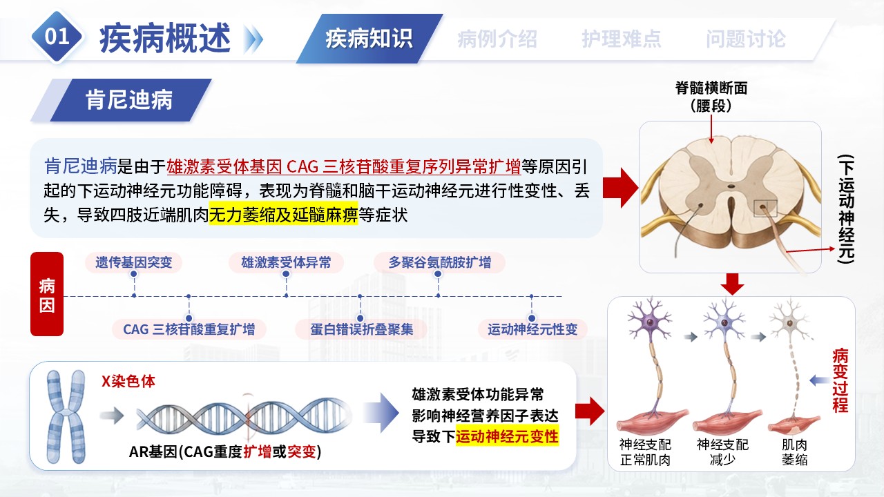 381期-疑难病例讨论-肯尼迪病患者运动功能康复护理第3页预览