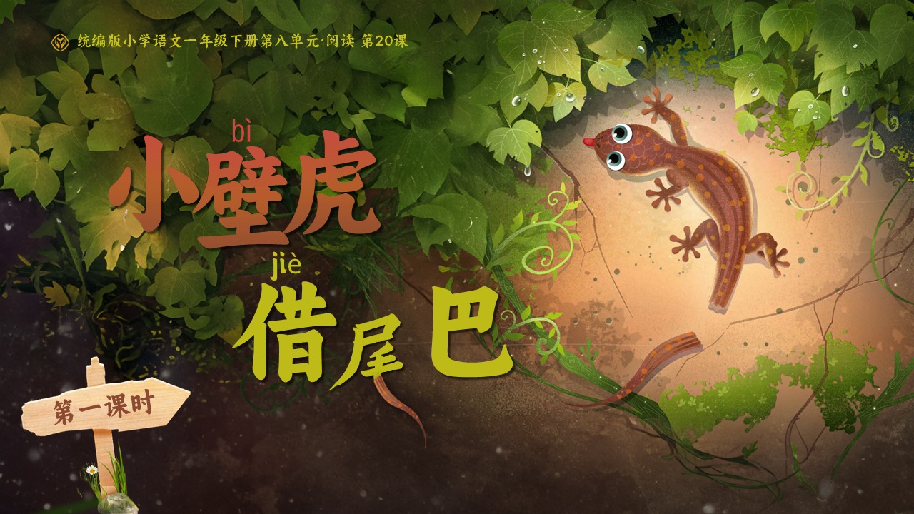 《小壁虎借尾巴》