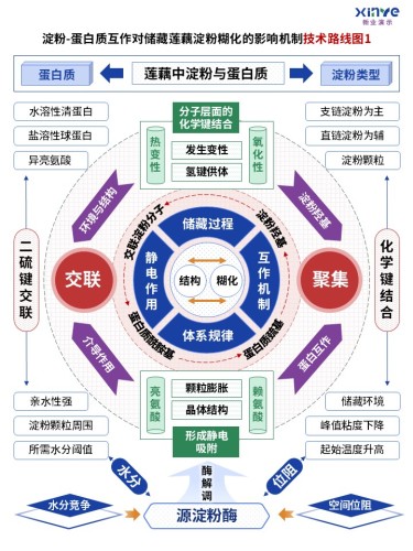 63-2技术路线图(蛋白质互作-蓝绿紫)