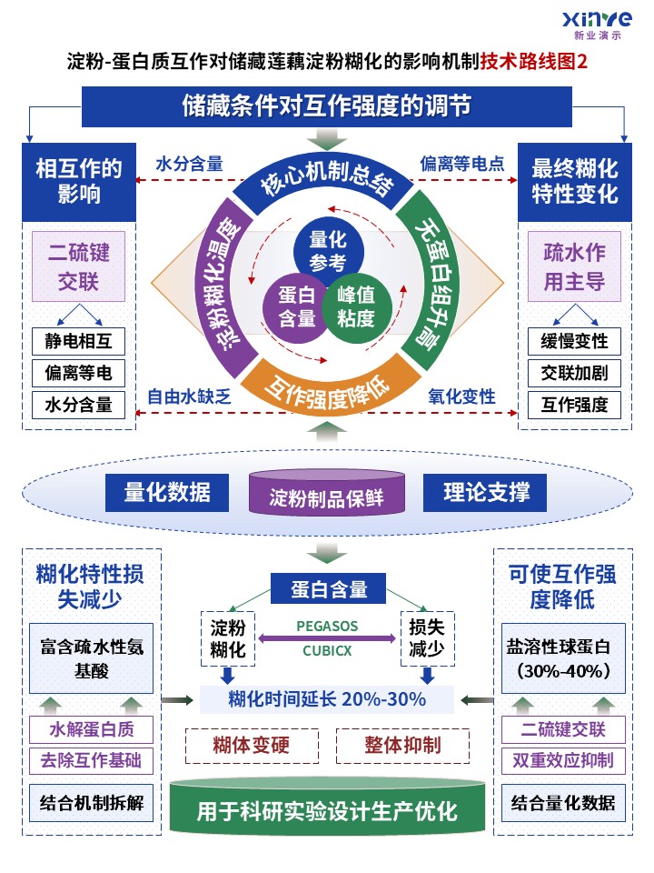 63-2技术路线图（蛋白质互作-蓝绿紫）第2页预览图