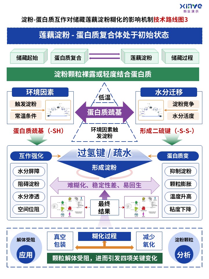 63-2技术路线图（蛋白质互作-蓝绿紫）第3页预览图